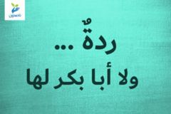 ردةٌ    ولا أبا بكر لها 300x200