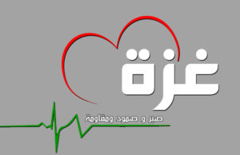 غزة 1 300x194