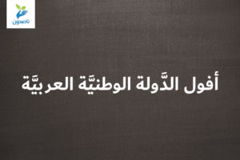 أفول الدَّولة الوطنيَّة العربيَّة 300x200
