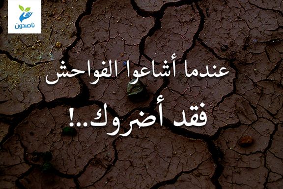 عندما أشاعوا الفواحش فقد أضروك.. 2
