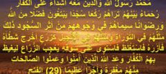 Images 1 300x134