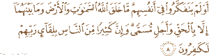 8 300x81