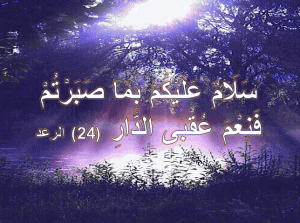 2bac7fd5f2855c36689c49318cb5c385 300x223