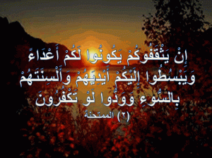 وودوا لو تكفرون 300x224