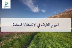تركستان 300x200