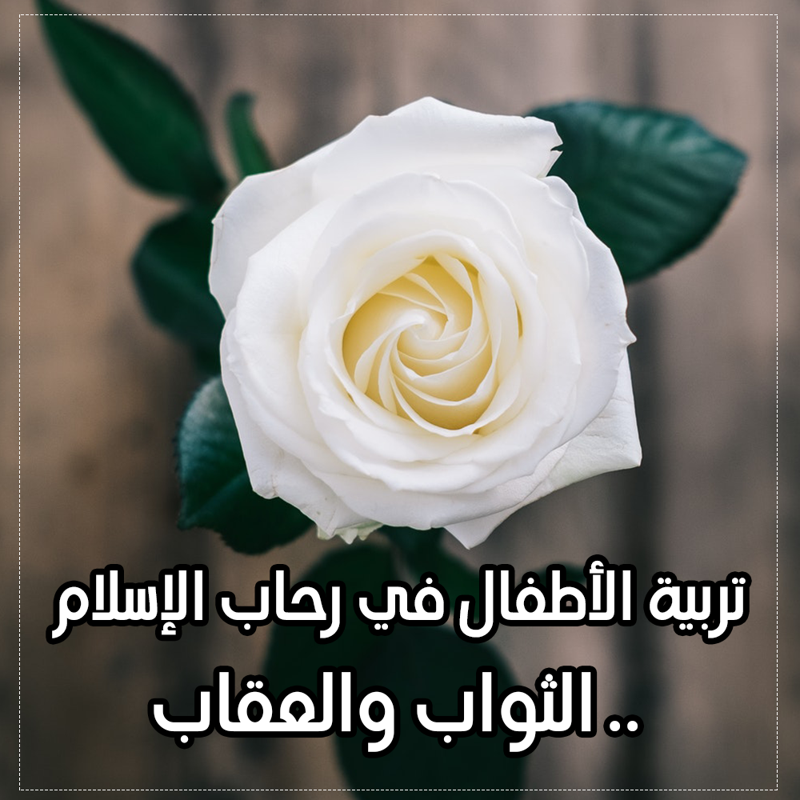 خبر وتعليق .. نسب تعاطي المخدرات في مصر 1 24