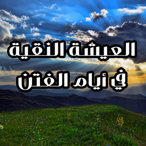 12 300x300