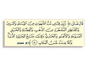 زين للناس حب الشهوات 300x225