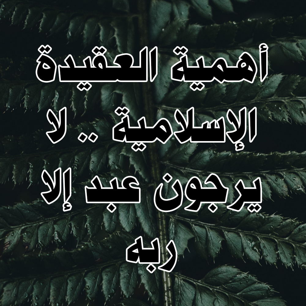 أهمية العقيدة الإسلامية .. لا يرجون عبد إلا ربه 1 24