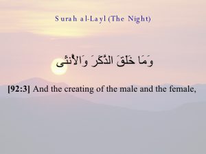 وما خلق الذكر 300x225