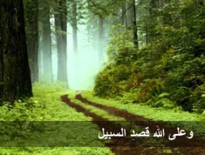 وعلى الله قصد السبيل 300x227
