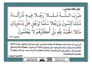 شركاء متشاكسون 300x212