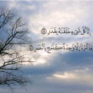 بقدر 300x300