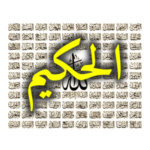 الحكيم 665x665 300x300