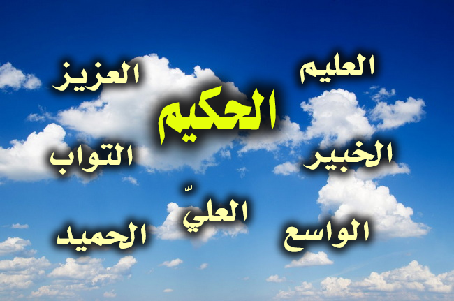 الحكيم