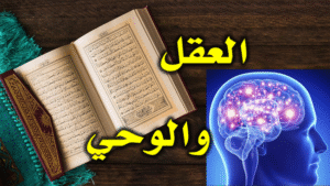 العقل والوحي 2 650 1