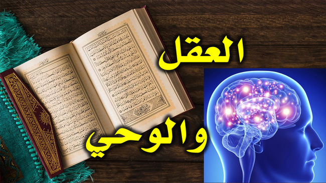 العقل والوحي 2 650 1