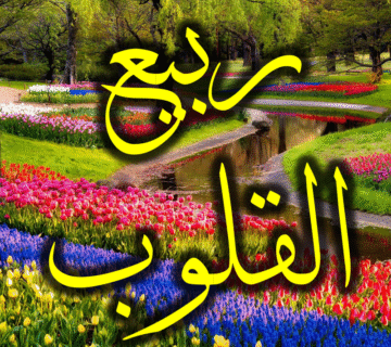 ربيع القلوب