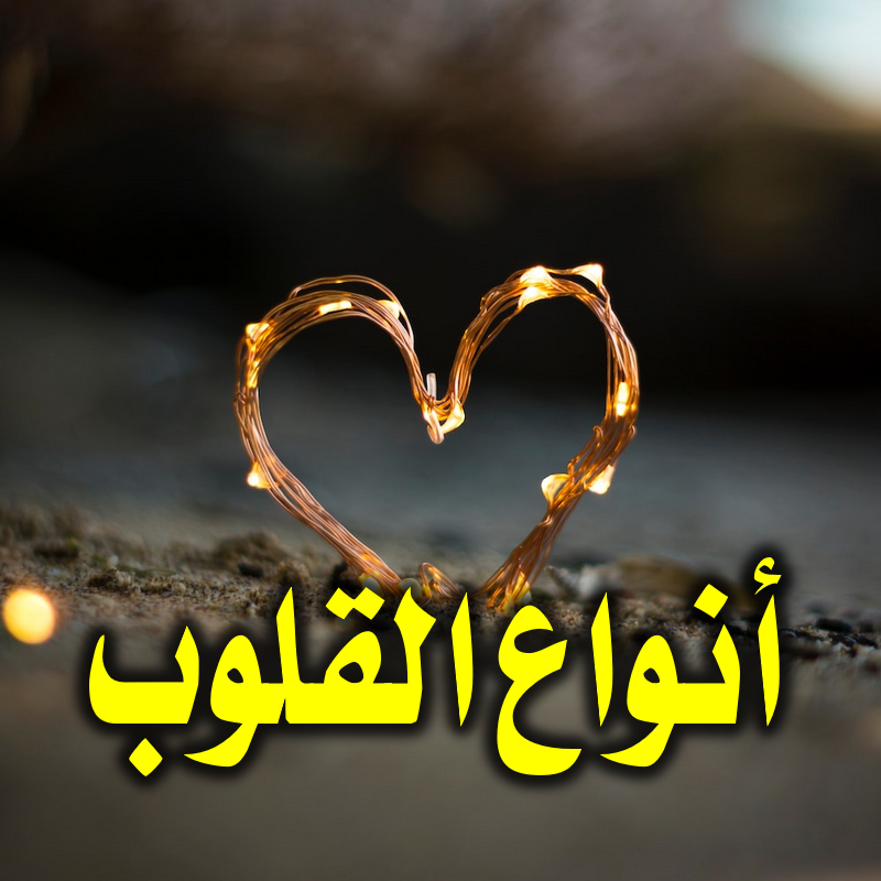 أنواع القلوب