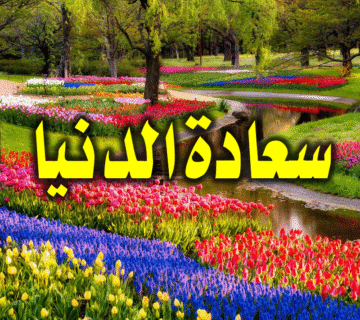 سعادة الدنيا