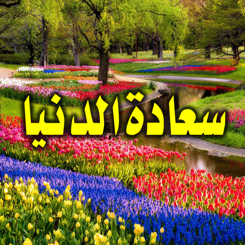 سعادة الدنيا