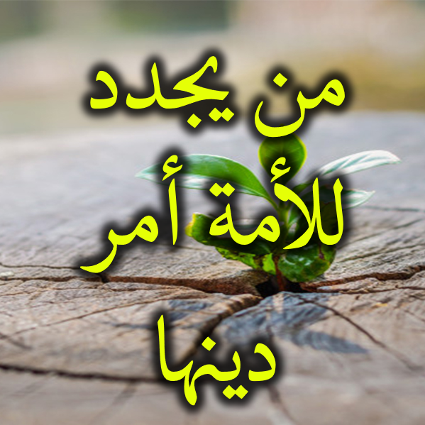 من يجدد للأمة