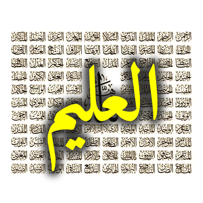 العليم
