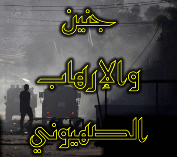 جنين