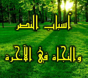 أسباب النصر والنجاة