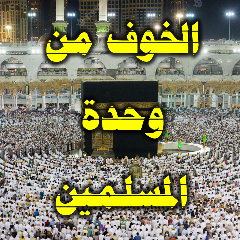 الخوف من وحدة المسلمين 4