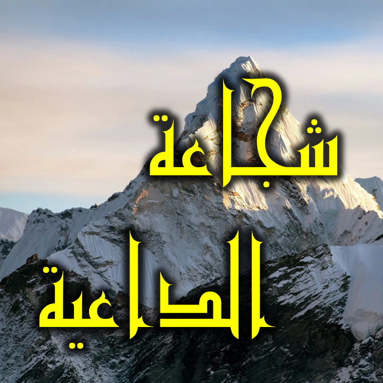 شجاعة الداعية