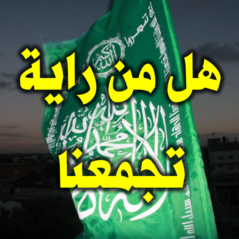 هل من راية تجمعنا 2