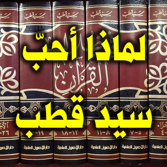 لماذا أحب سيد قطب