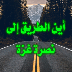 أين الطريق إلى نصرة غزة 300x300