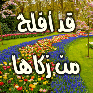 قد أفلح من زكاها 2