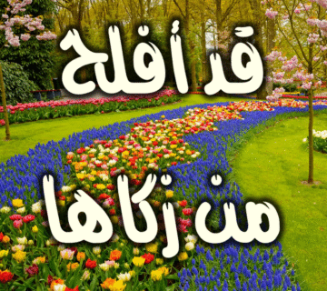 قد أفلح من زكاها 2