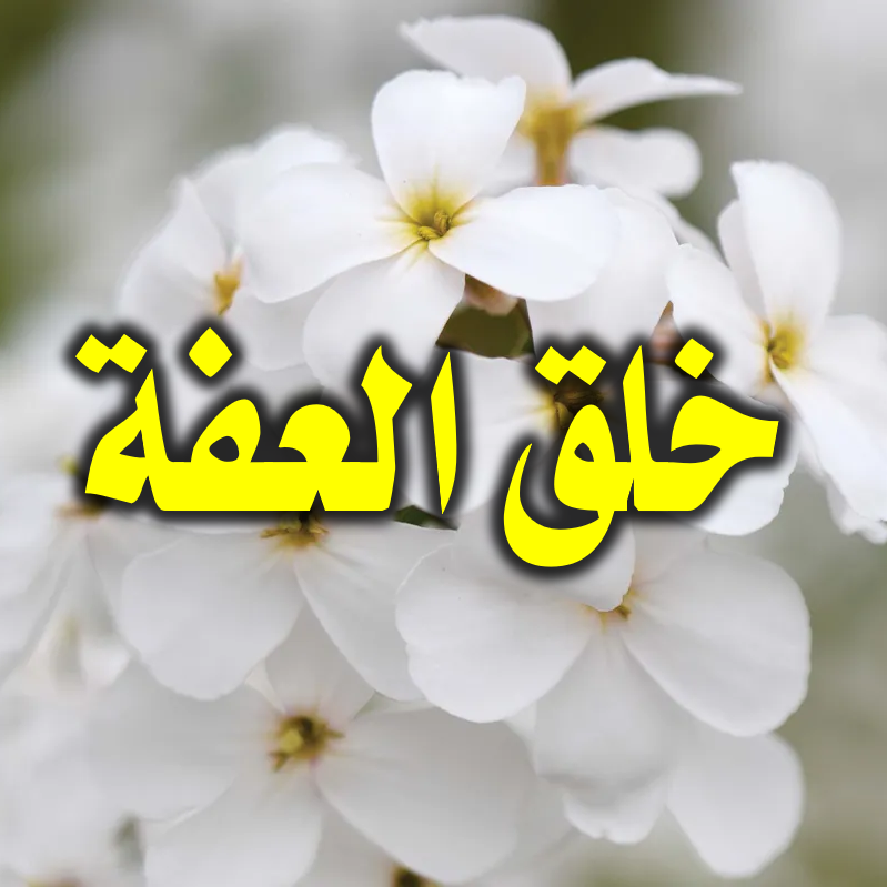 خلق العفة
