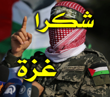 شكرا غزة