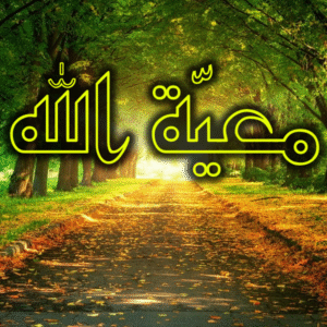 سنة معية الله مع المؤمنين