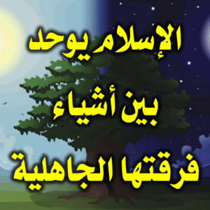 الإسلام يوحد بين أشياء فرقتها الجاهلية