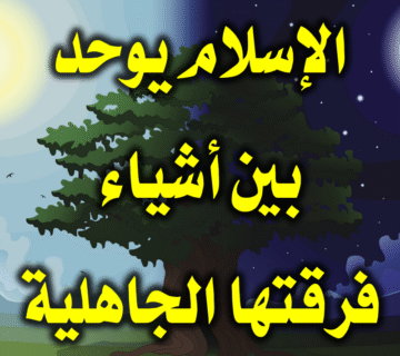 الإسلام يوحد بين أشياء فرقتها الجاهلية
