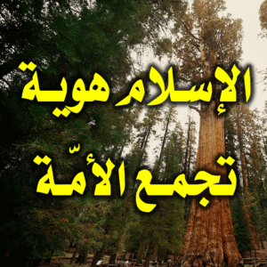 الإسـلام هويـة تجمـع الأمـة