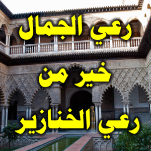 رعي الجمال خير من رعي الخنازير