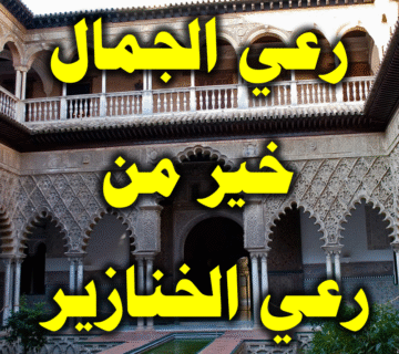 إن رعي الجمال خير من رعي الخنازير 1 رعي الجمال خير من رعي الخنازير