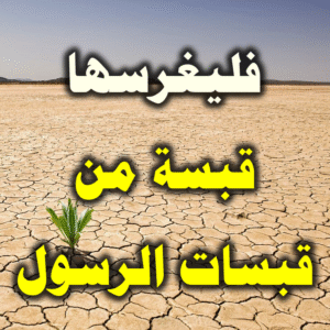 فليغرسها قبسة من قبسات الرسول 300x300