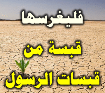 فليغرسها قبسة من قبسات الرسول