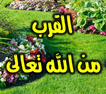 القرب من الله تعالى