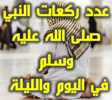 عدد ركعات النبي صلى الله عليه وسلم في اليوم والليلة