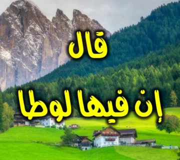 قال إن فيها لوطا