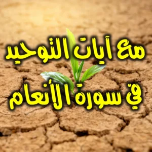 مع آيات التوحيد في سورة الأنعام